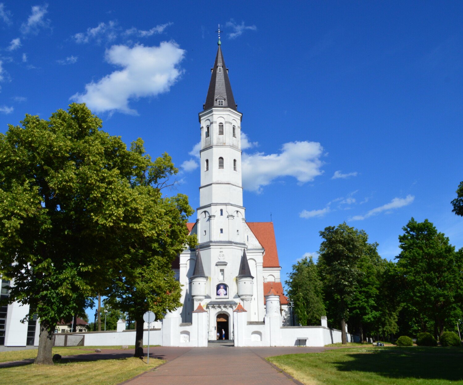 Svetainių kūrimas Šiauliuose